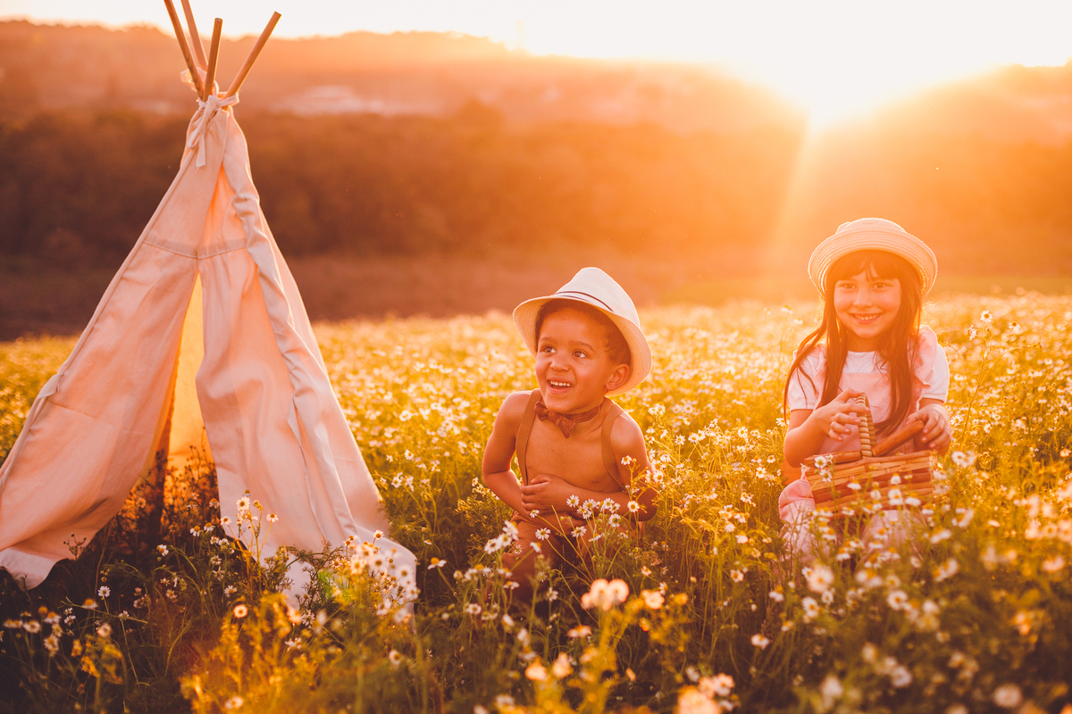 fotografa familia curitiba - ensaio campo de camomila criança infantil externo por do sol