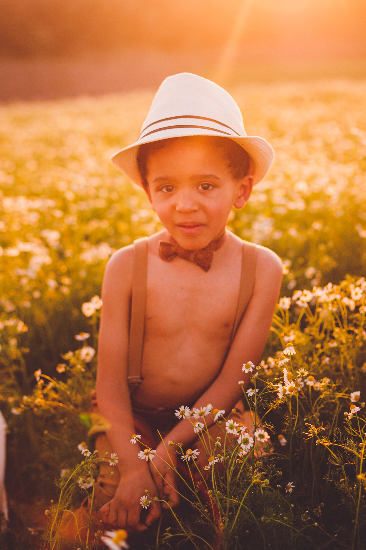 fotografa familia curitiba - ensaio campo de camomila criança infantil externo por do sol