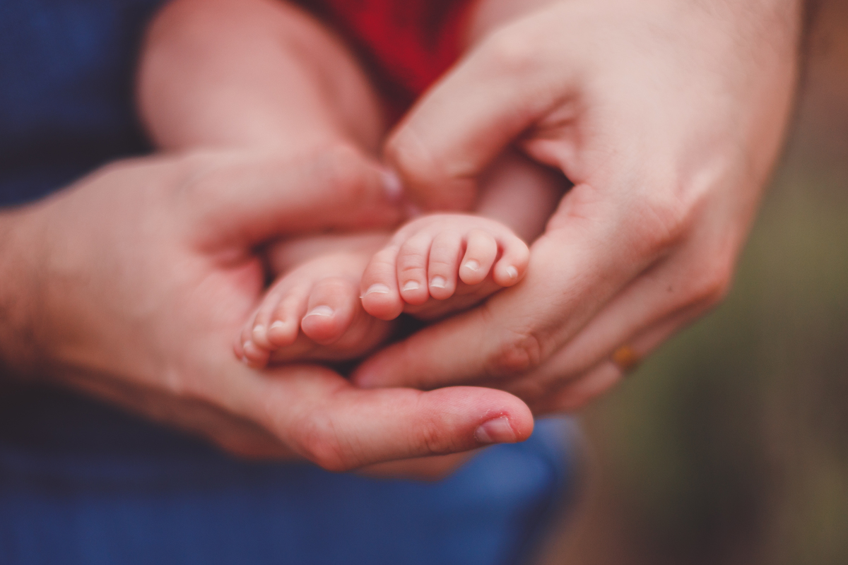 fotografa familia curitiba - ensaio externo campo de lavanda colonia witmarsun