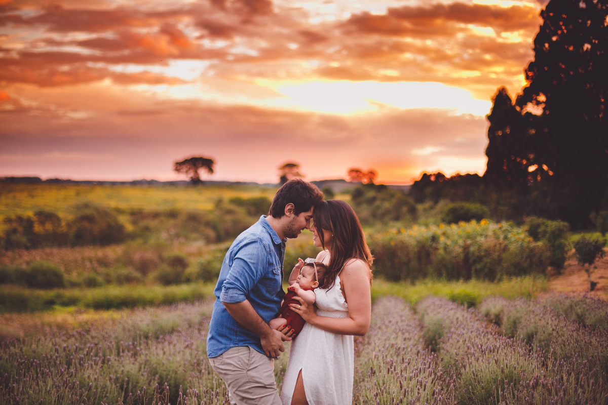fotografa familia curitiba - ensaio externo campo de lavanda colonia witmarsun