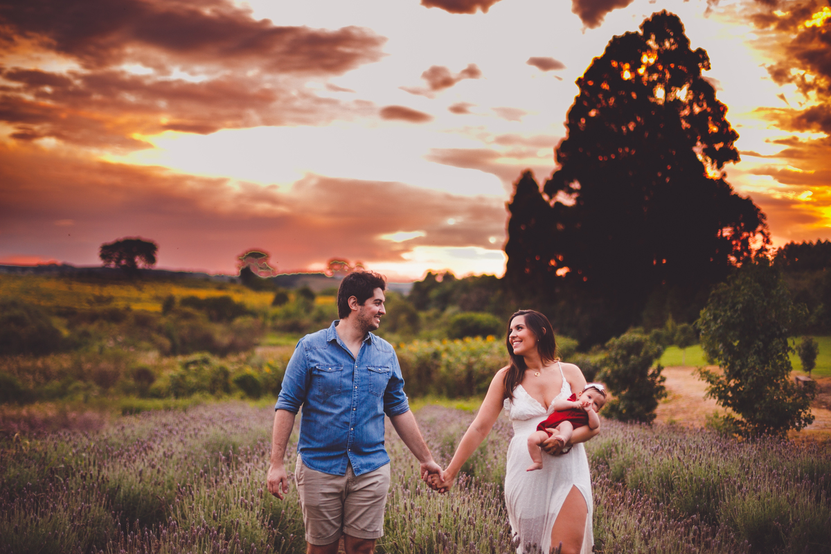 fotografa familia curitiba - ensaio externo campo de lavanda colonia witmarsun
