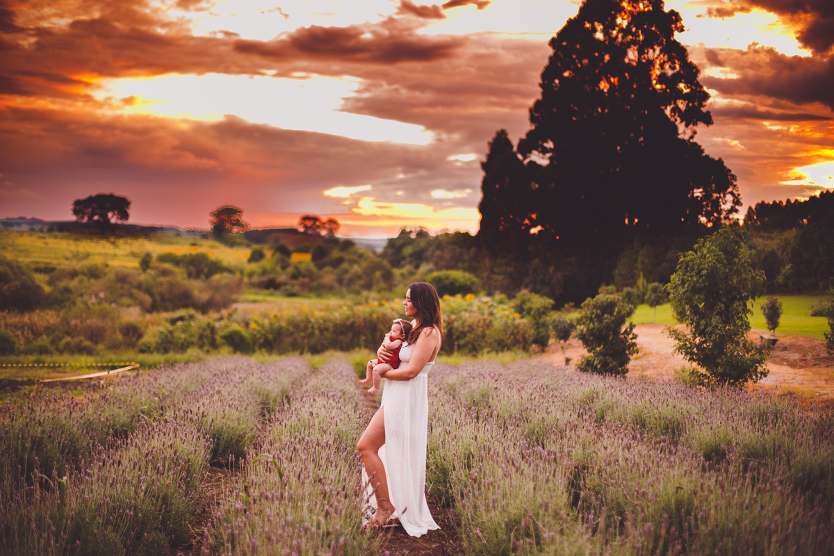 fotografa familia curitiba - ensaio externo campo de lavanda colonia witmarsun