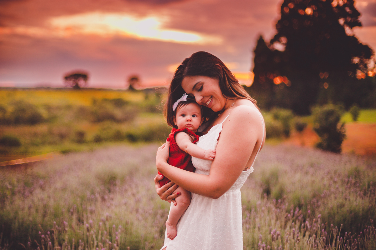fotografa familia curitiba - ensaio externo campo de lavanda colonia 