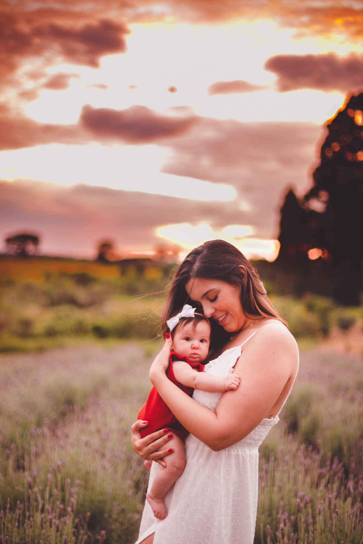 fotografa familia curitiba - ensaio externo campo de lavanda colonia 