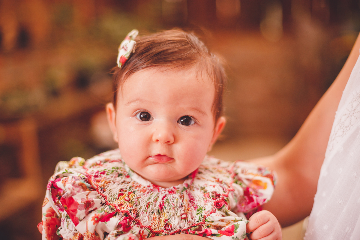 fotografa familia curitiba - ensaio externo campo de lavanda colonia witmarsun