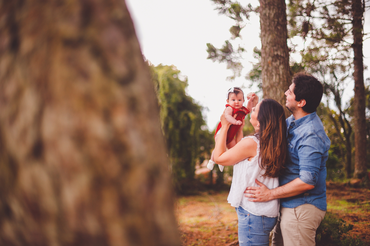 fotografa familia curitiba - ensaio externo campo de lavanda colonia witmarsun