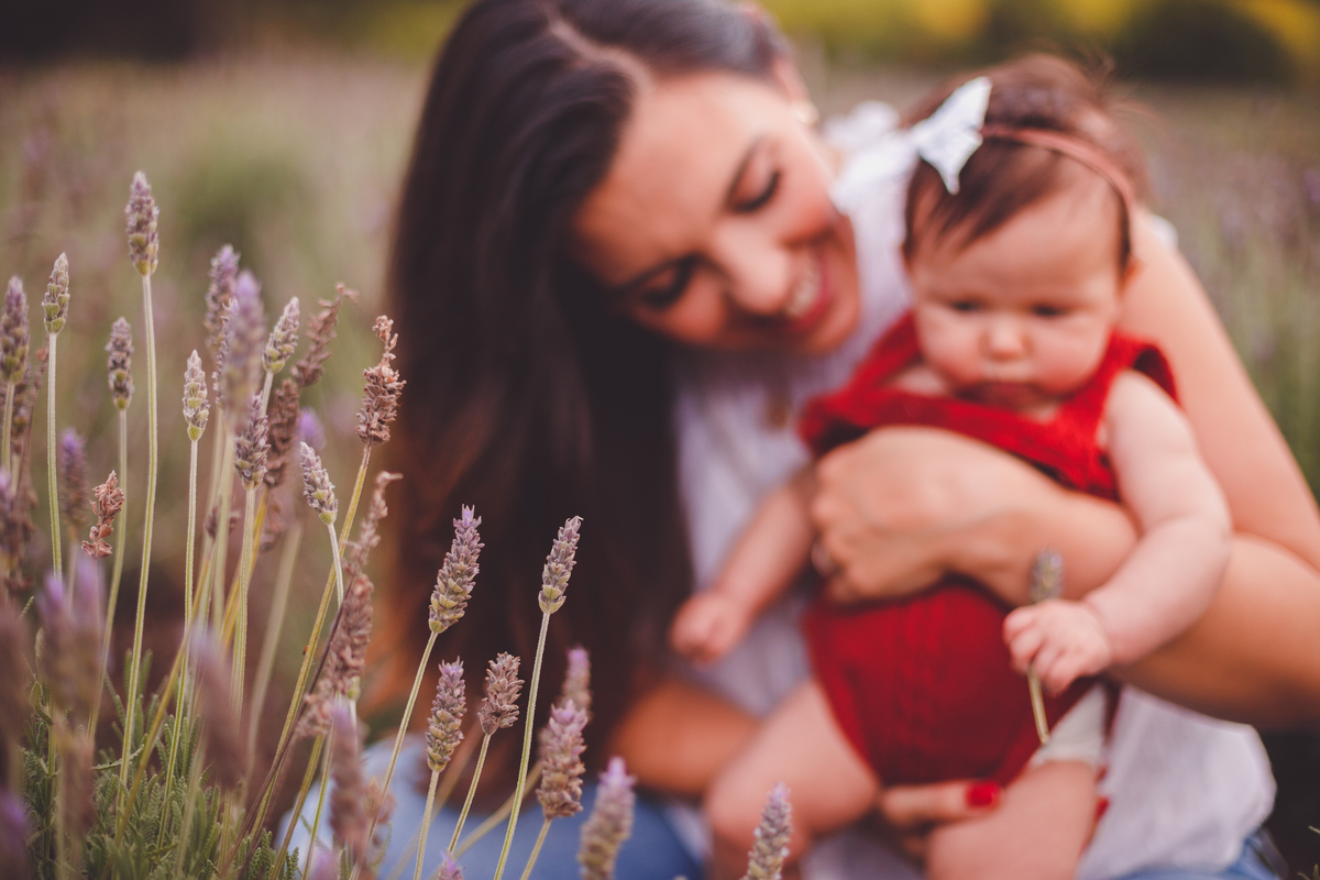 fotografa familia curitiba - ensaio externo campo de lavanda colonia witmarsun