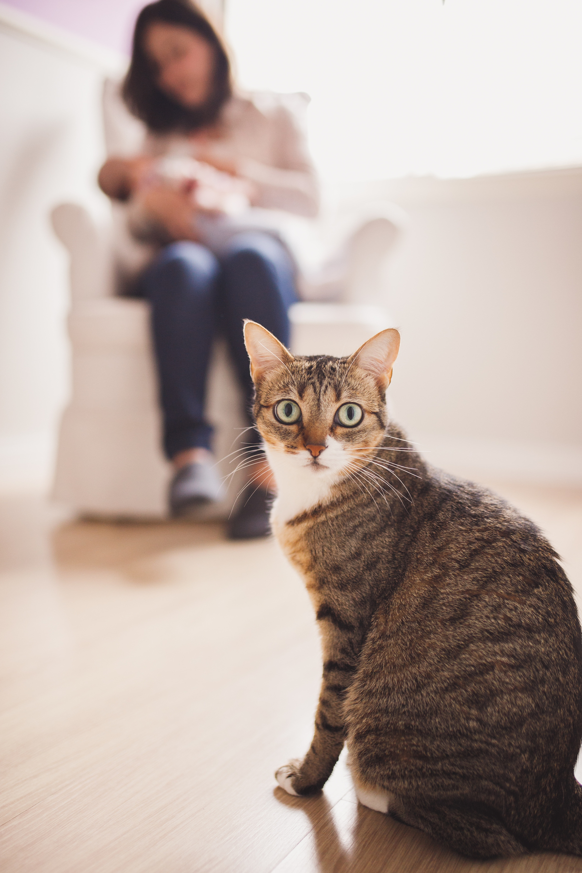 fotografa de familia em curitiba - ensaio em casa rotina lifestyle