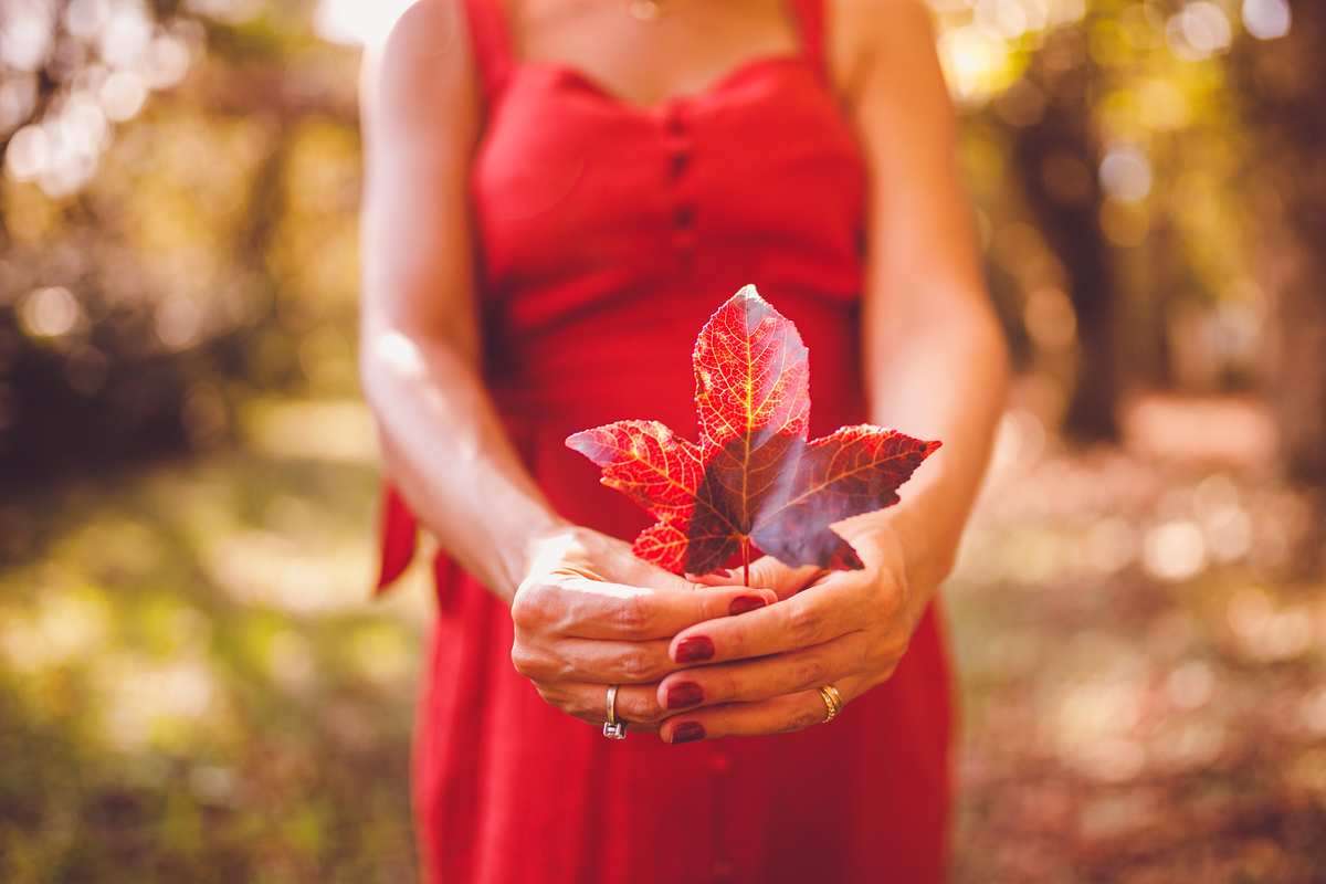 fotografa familia curitiba - externo outono gestação  