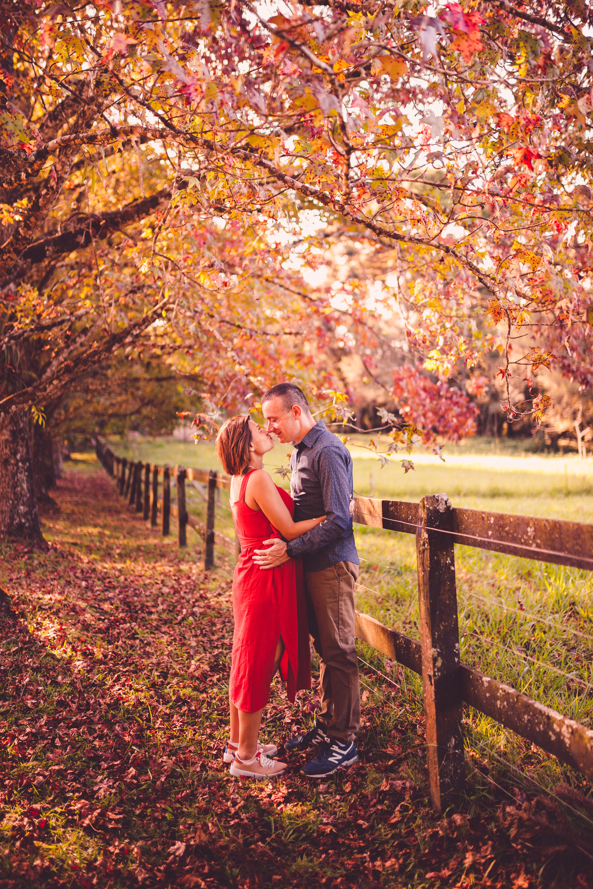 fotografa familia curitiba - externo outono gestação  