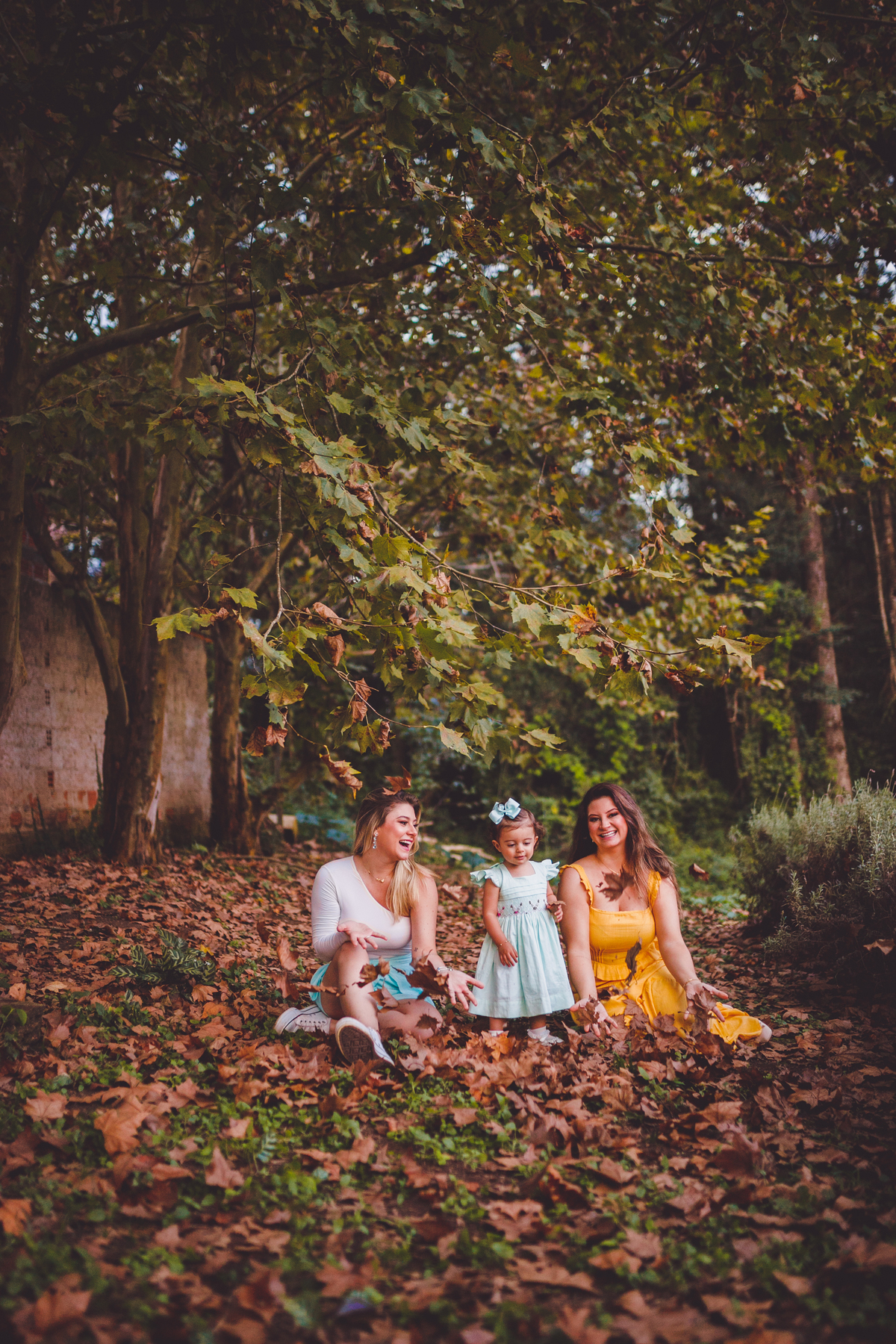 fotografa familia Curitiba - ensaio externo campo lavanda 