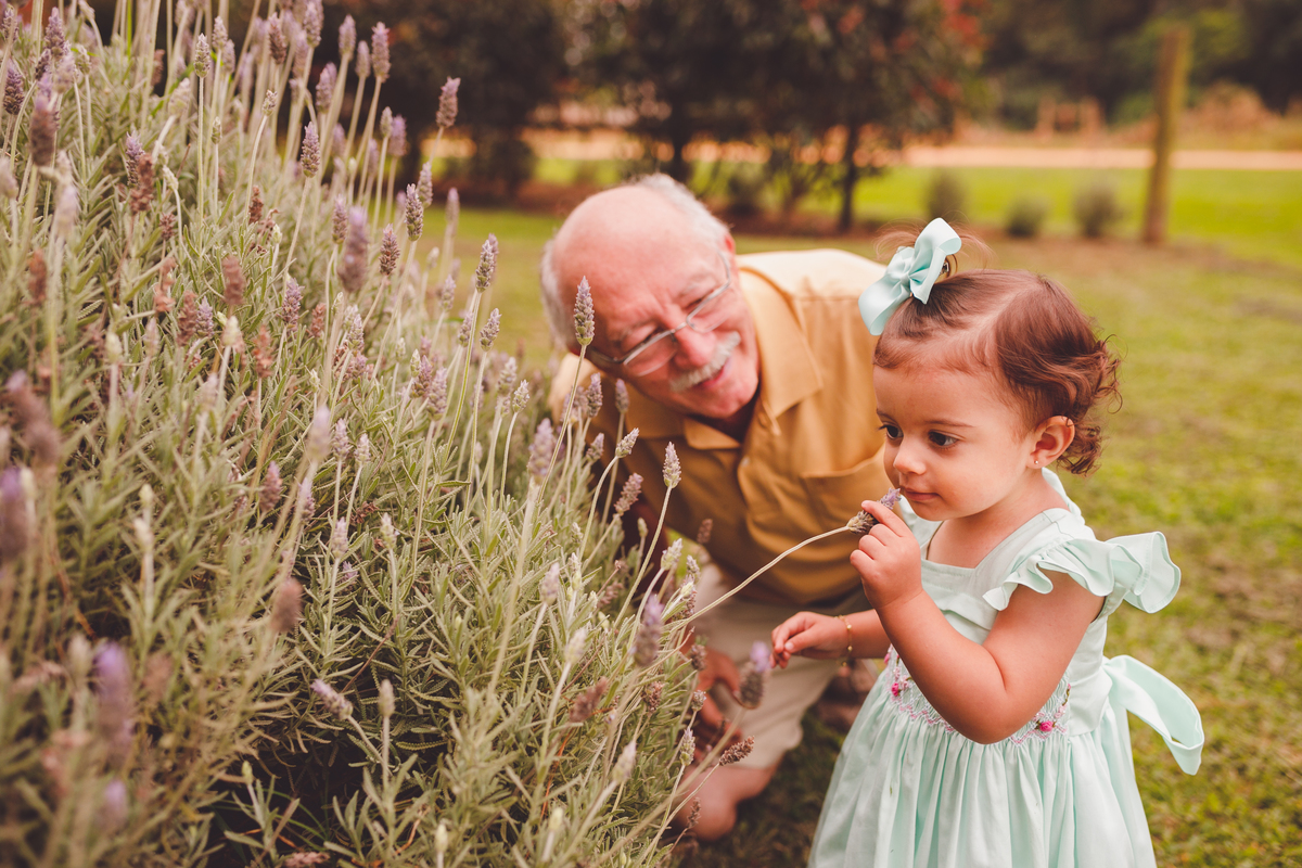 fotografa familia Curitiba - ensaio externo campo lavanda 
