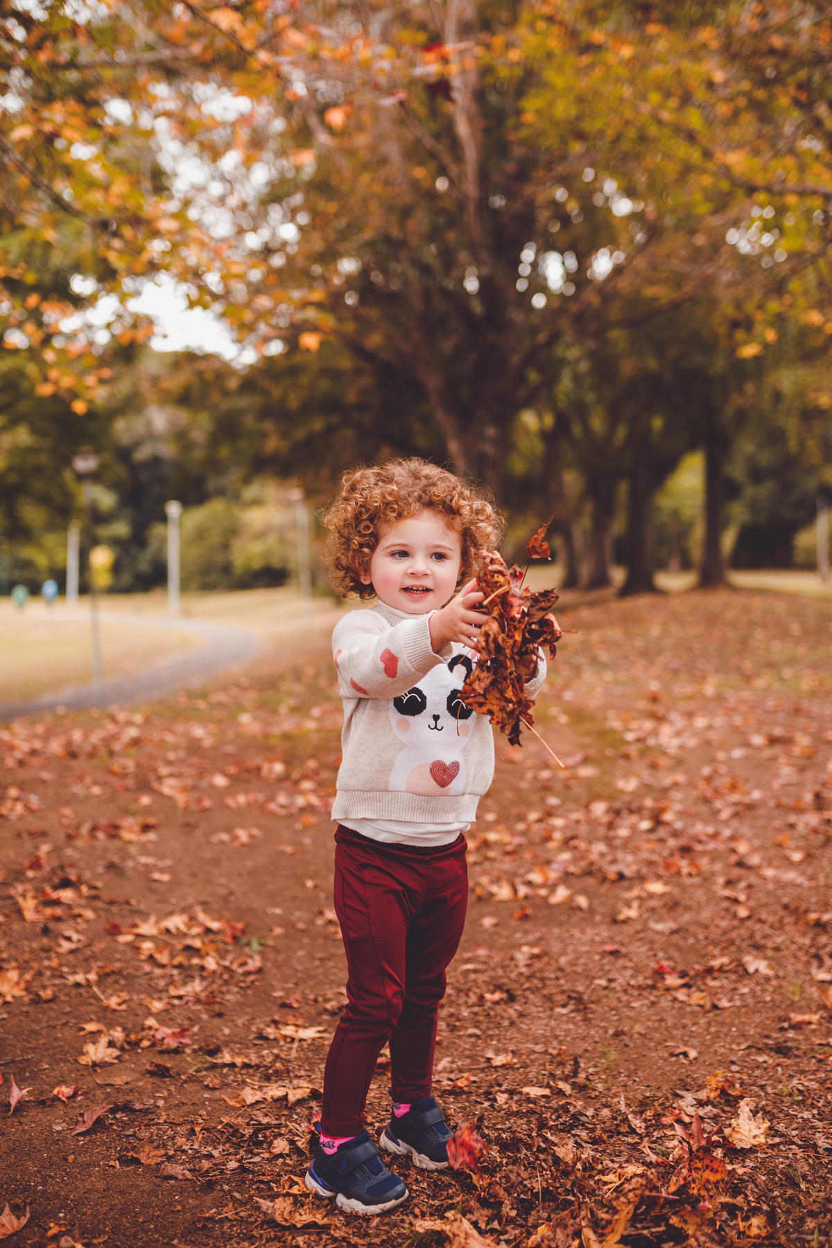 fotografa familia curitiba - ensaio outono bosque