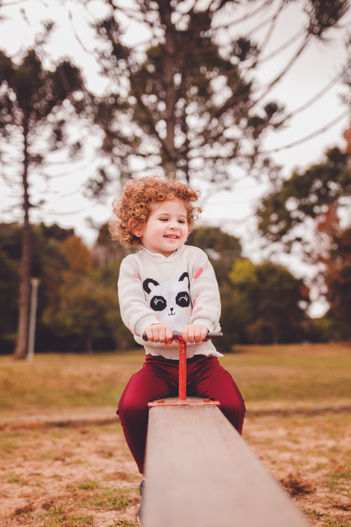 fotografa familia curitiba - ensaio outono bosque