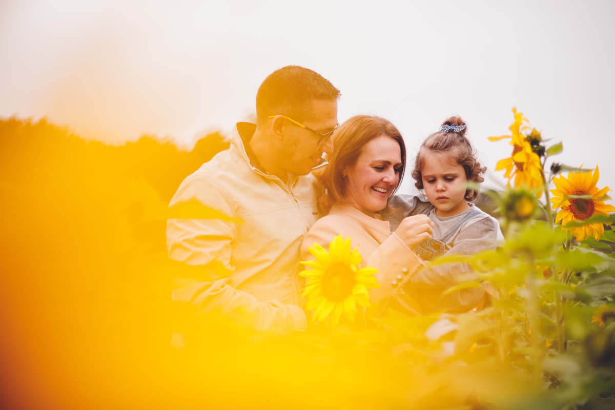 fotografa familia curitiba - Plantacao girassol sjp