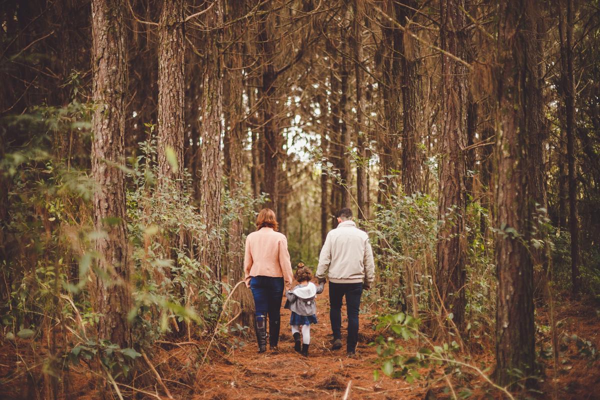 fotografa familia curitiba - Plantacao girassol sjp