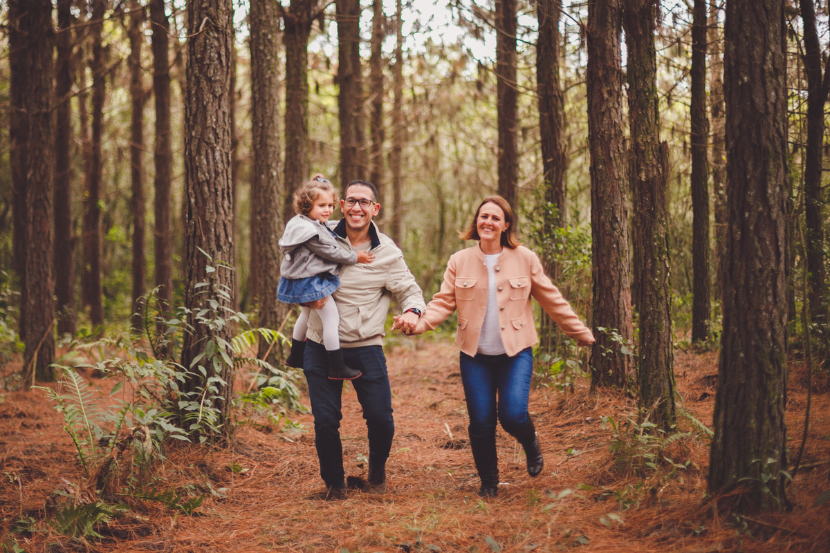 fotografa familia curitiba - Plantacao girassol sjp