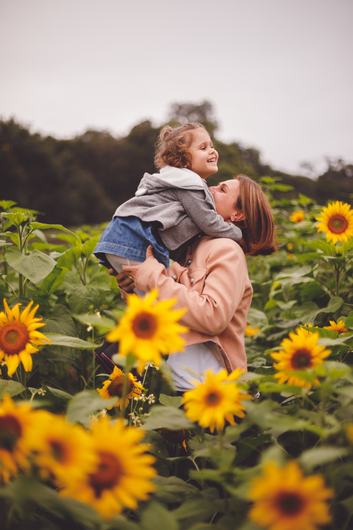fotografa familia curitiba - Plantacao girassol sjp