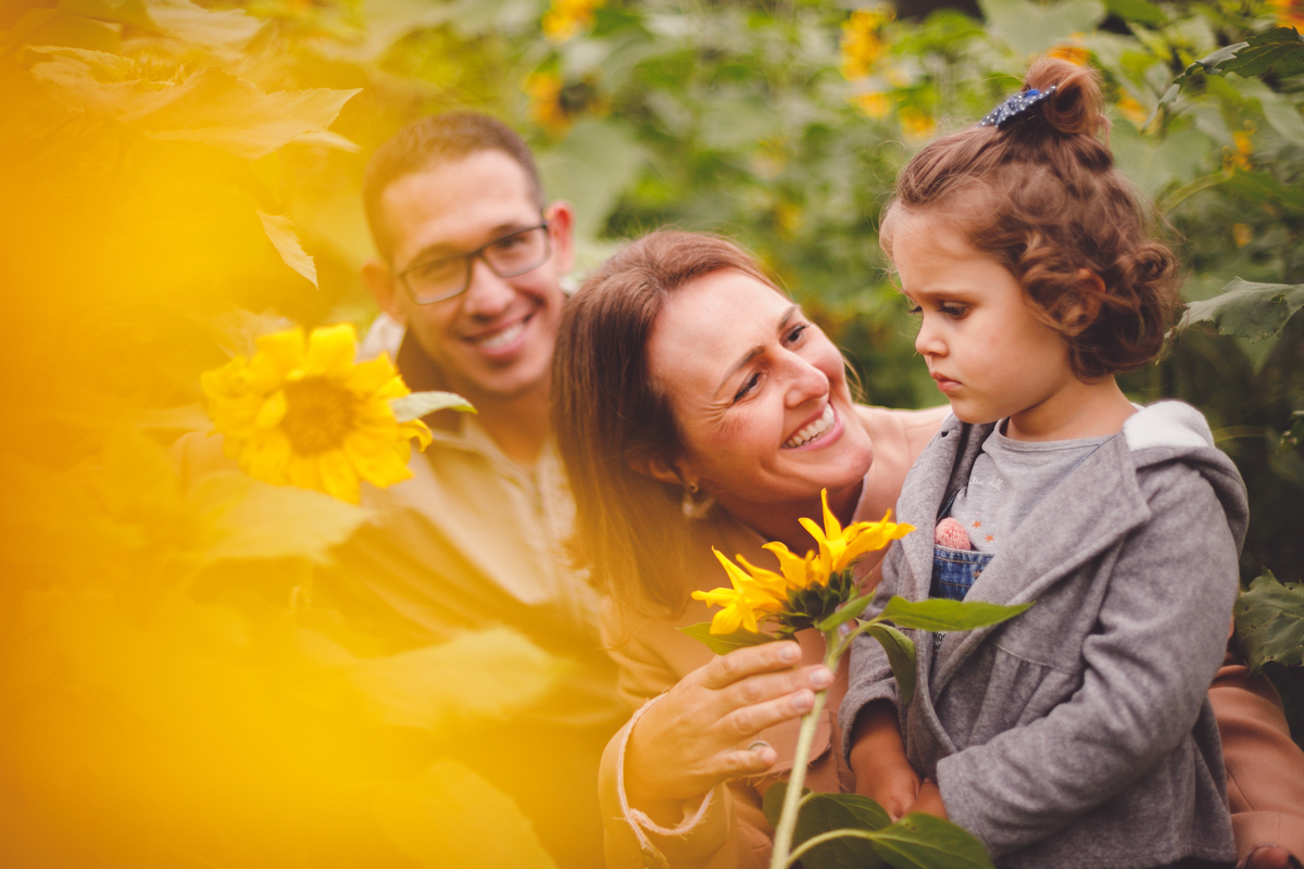 fotografa familia curitiba - Plantacao girassol sjp
