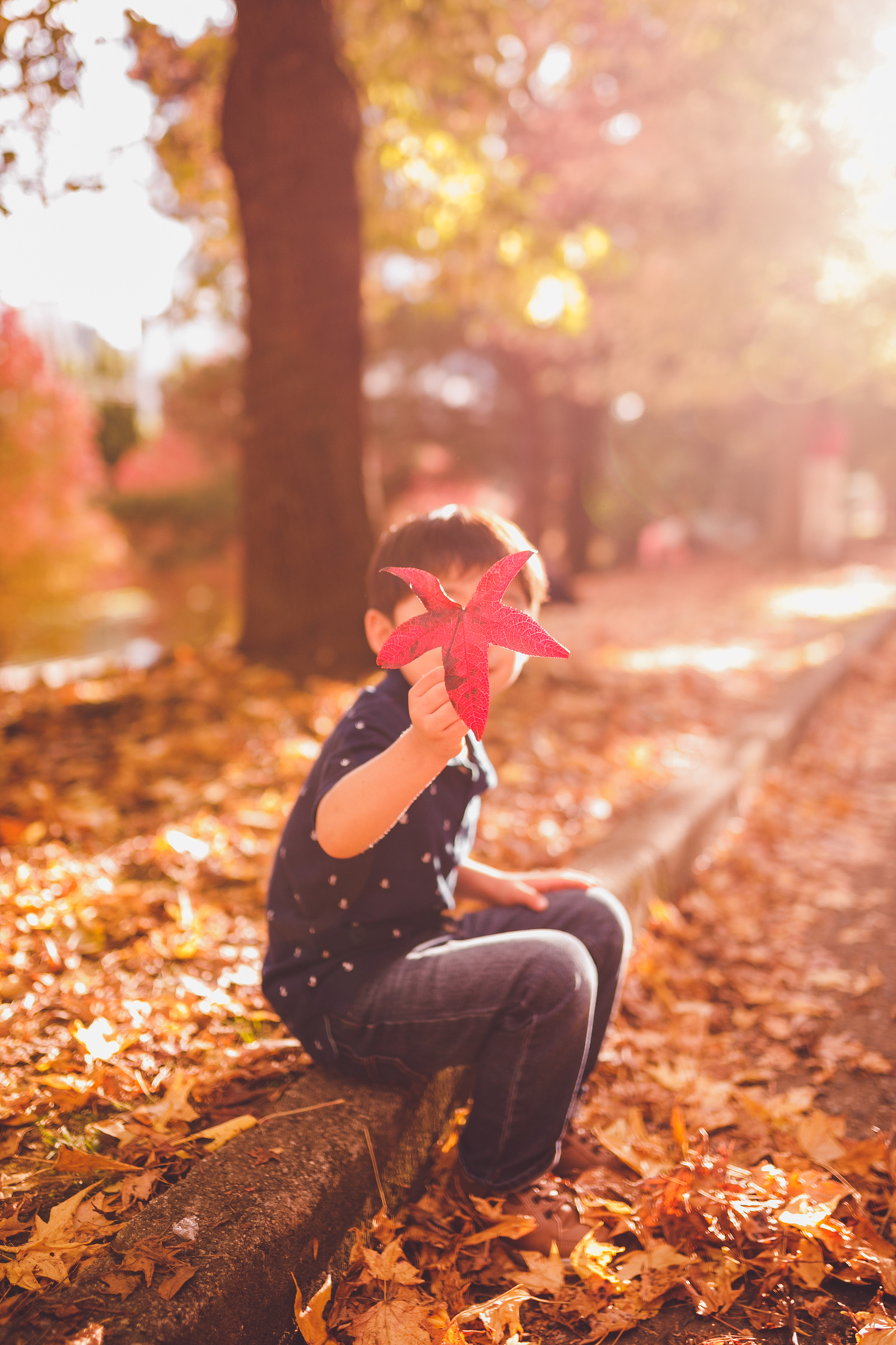 fotografa familia curitiba - ensaio outono canaleta onibus
