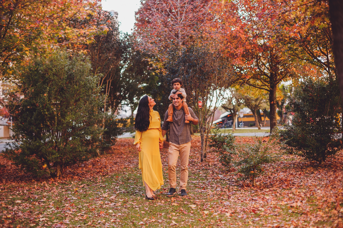 fotografa familia curitiba - ensaio gestante outono canaleta 