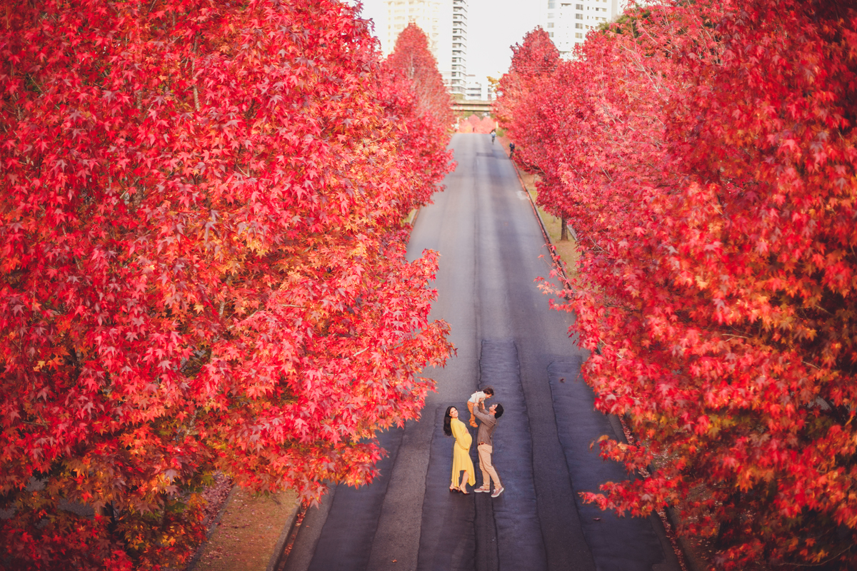 fotografa familia curitiba - ensaio gestante outono canaleta 