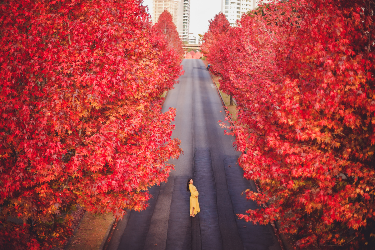 fotografa familia curitiba - ensaio gestante outono canaleta 