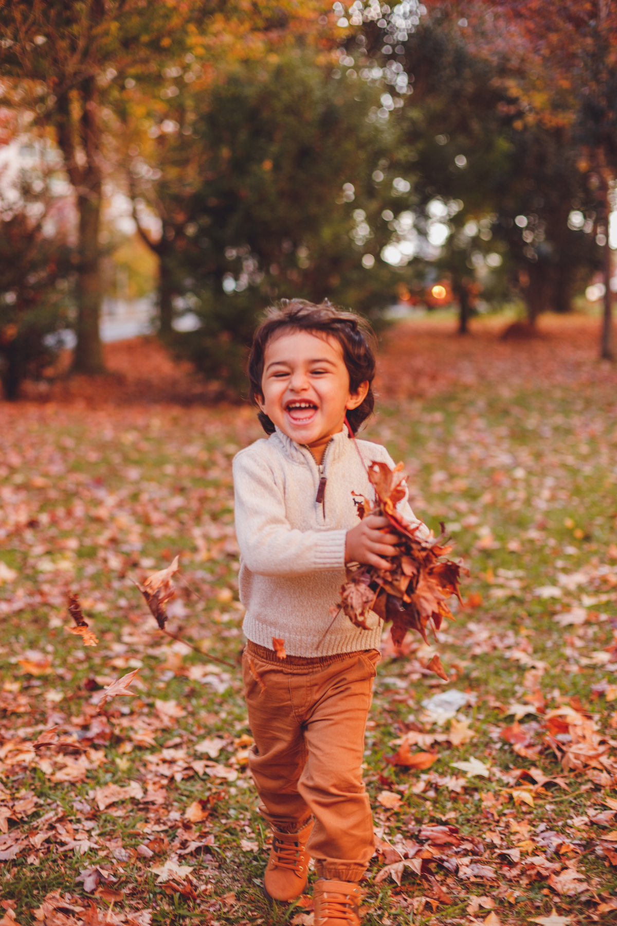 fotografa familia curitiba - ensaio gestante outono canaleta 