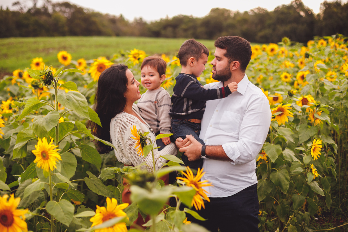 fotografa-familia-curitiba-girassol-campo