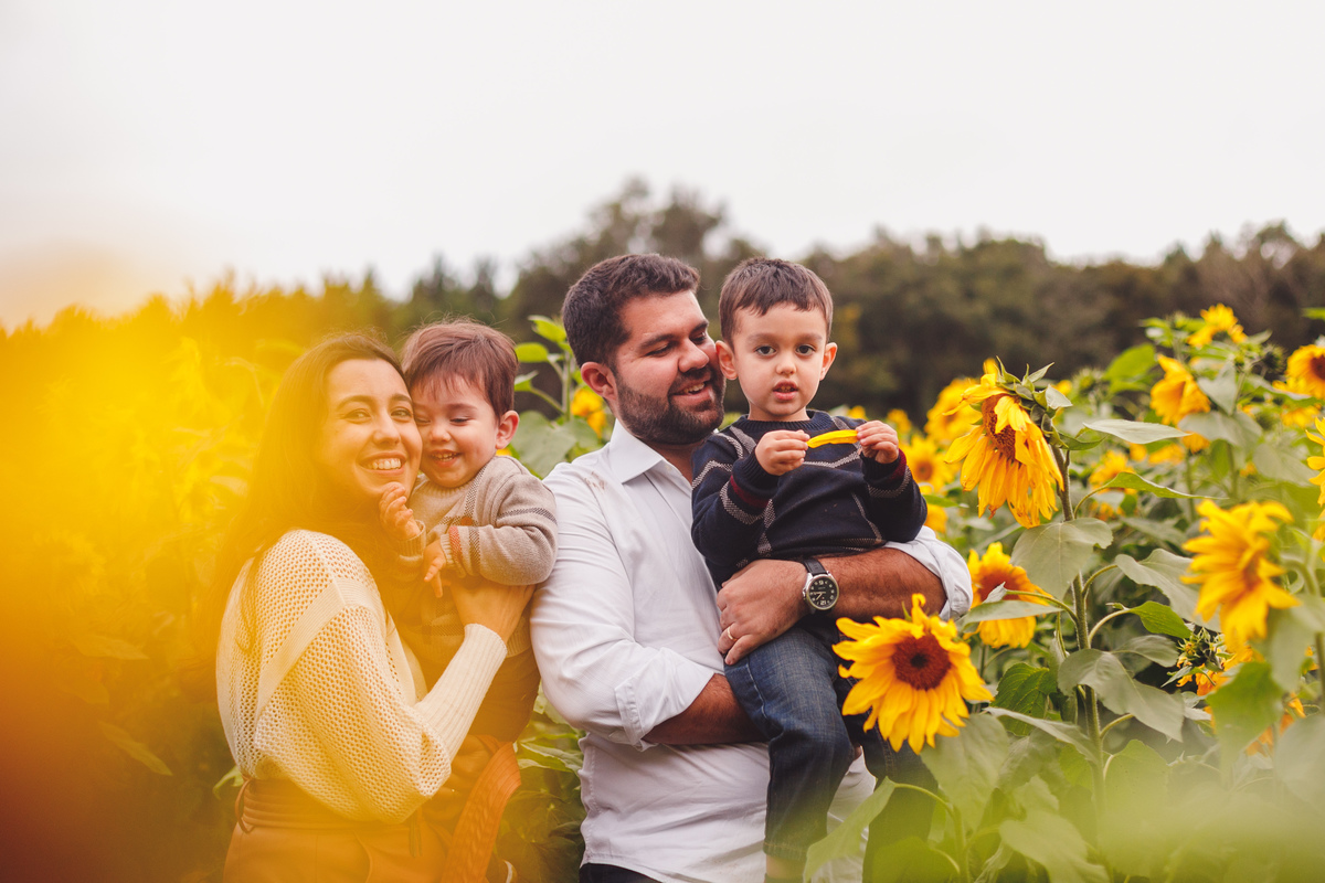 fotografa-familia-curitiba-girassol-campo