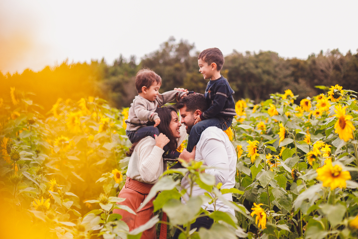 fotografa-familia-curitiba-girassol-campo