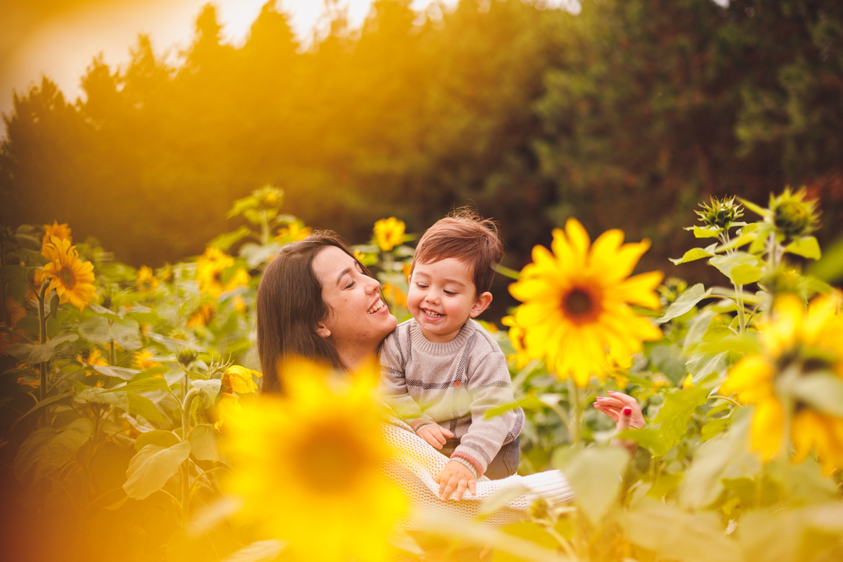 fotografa-familia-curitiba-girassol-campo