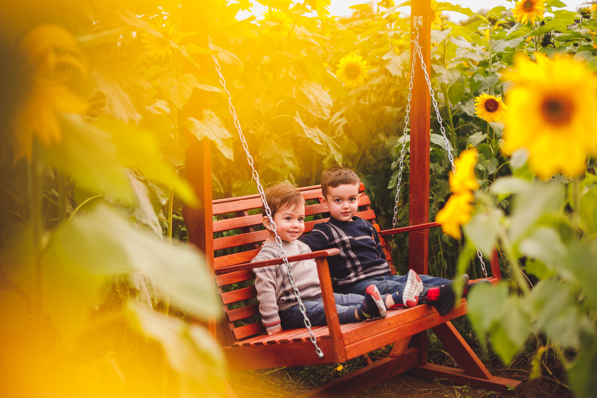 fotografa-familia-curitiba-girassol-campo
