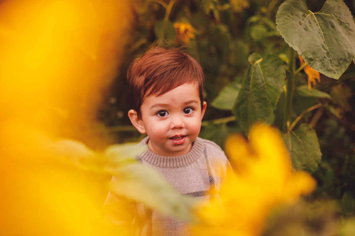 fotografa-familia-curitiba-girassol-campo