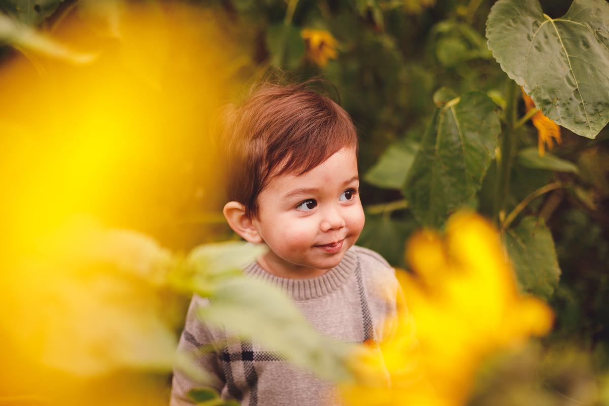 fotografa-familia-curitiba-girassol-campo