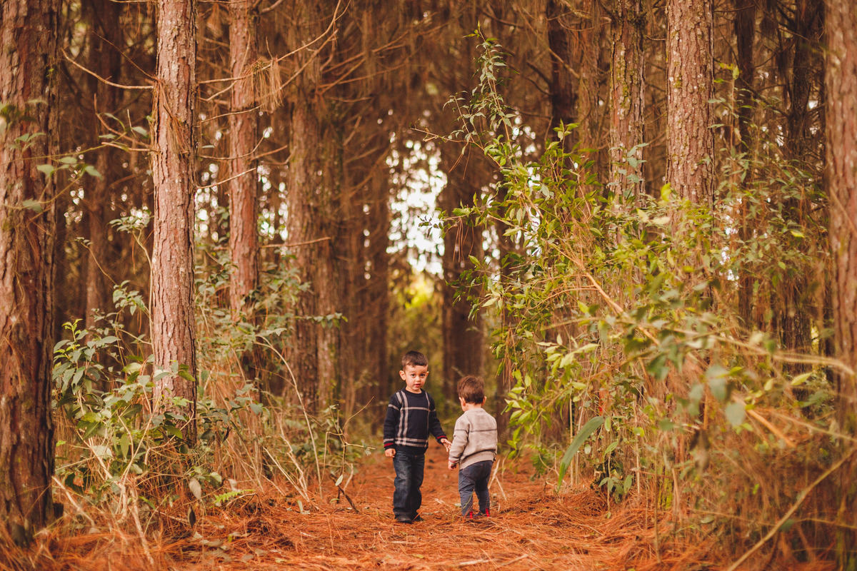 fotografa-familia-curitiba-girassol-campo