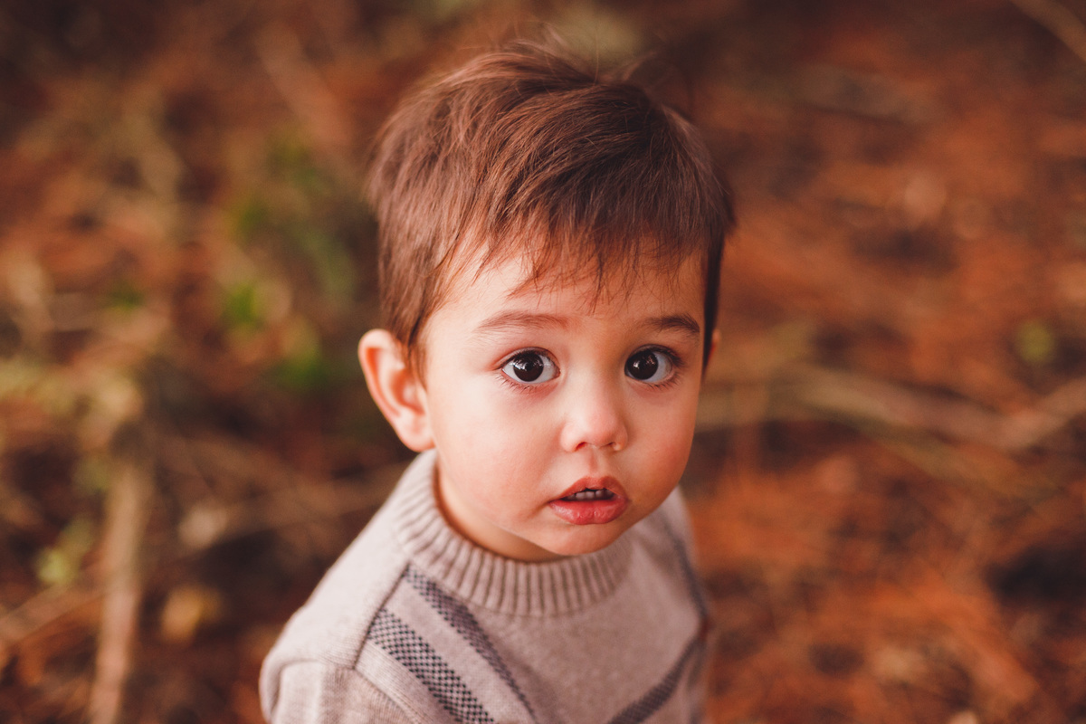 fotografa-familia-curitiba-girassol-campo
