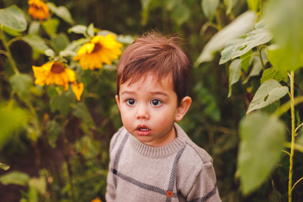 fotografa-familia-curitiba-girassol-campo