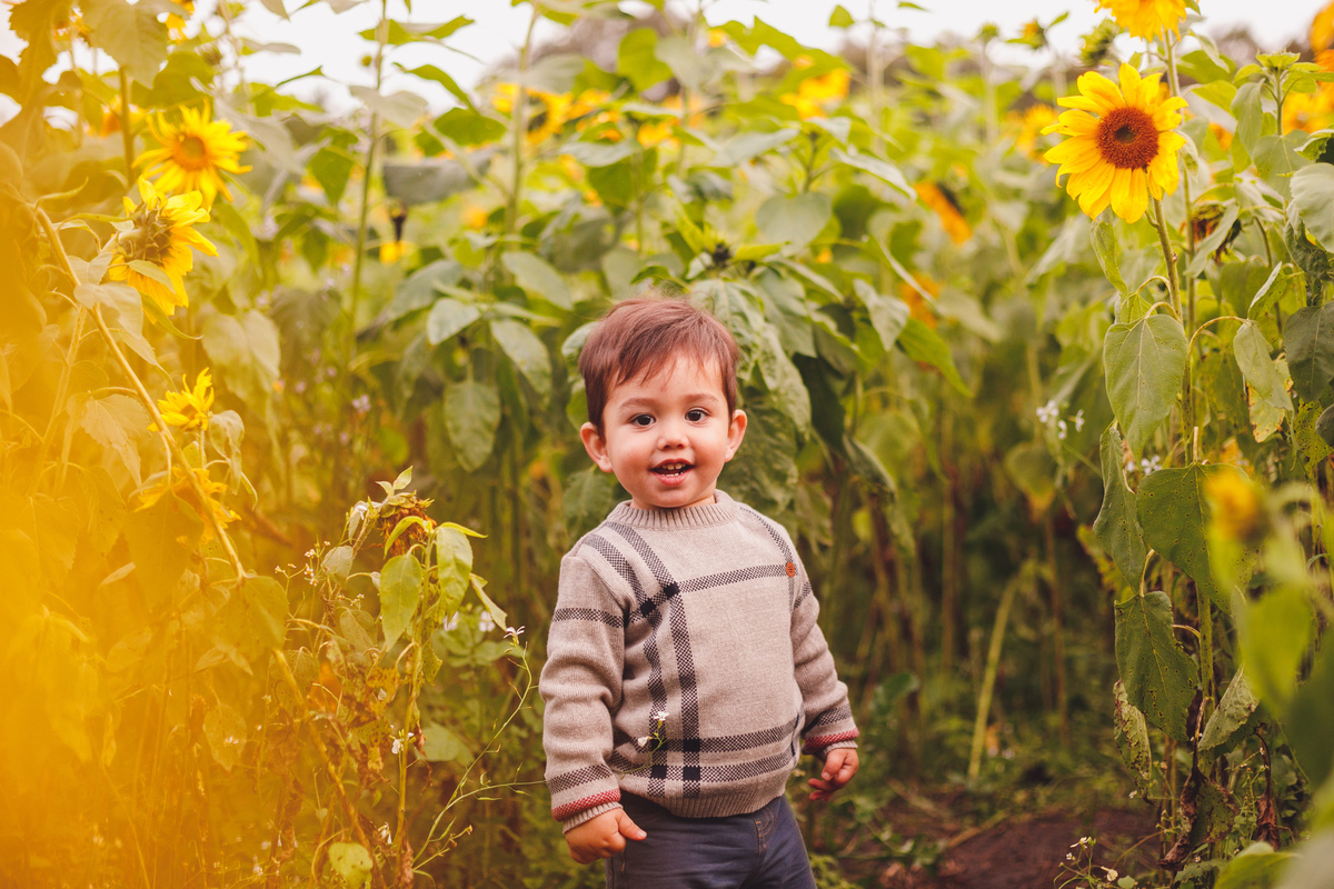 fotografa-familia-curitiba-girassol-campo