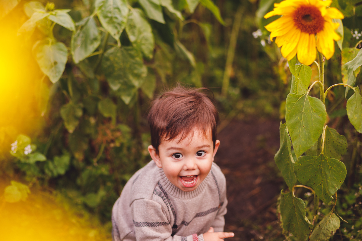 fotografa-familia-curitiba-girassol-campo
