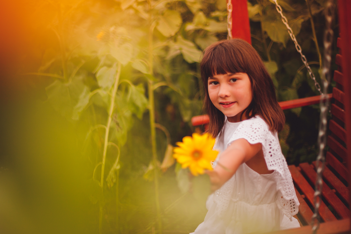 fotografa familia curitiba - ensaio campo de girassol