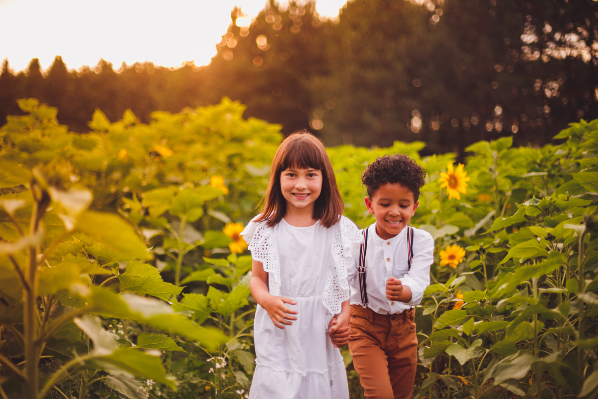fotografa familia curitiba - ensaio campo de girassol