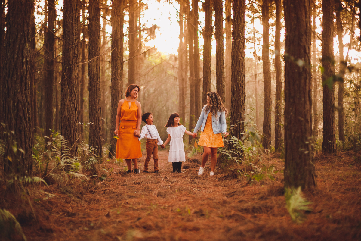 fotografa familia curitiba - ensaio campo de girassol