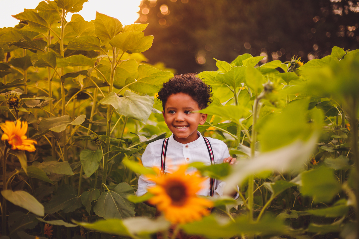 fotografa familia curitiba - ensaio campo de girassol