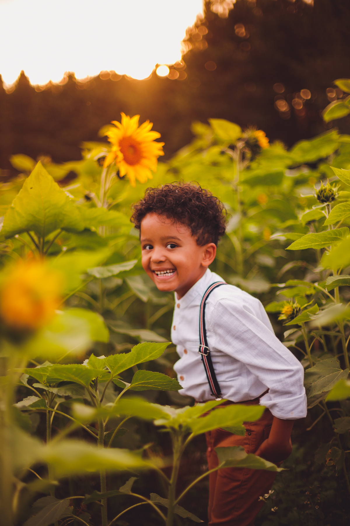 fotografa familia curitiba - ensaio campo de girassol