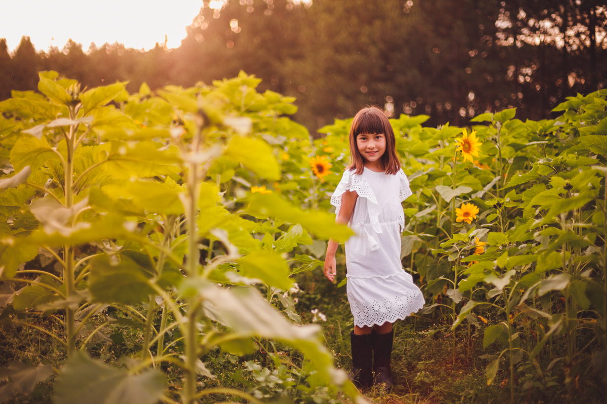 fotografa familia curitiba - ensaio campo de girassol