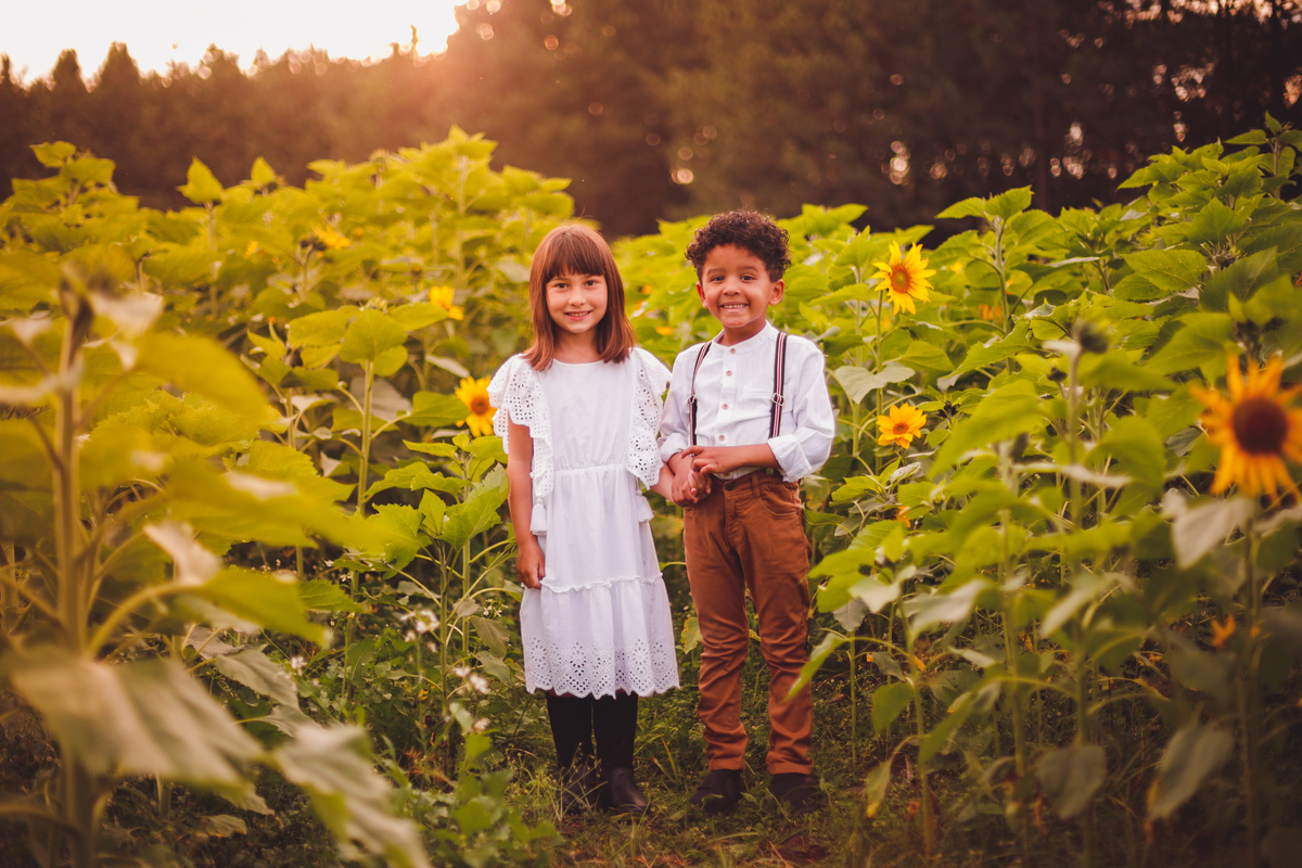 fotografa familia curitiba - ensaio campo de girassol