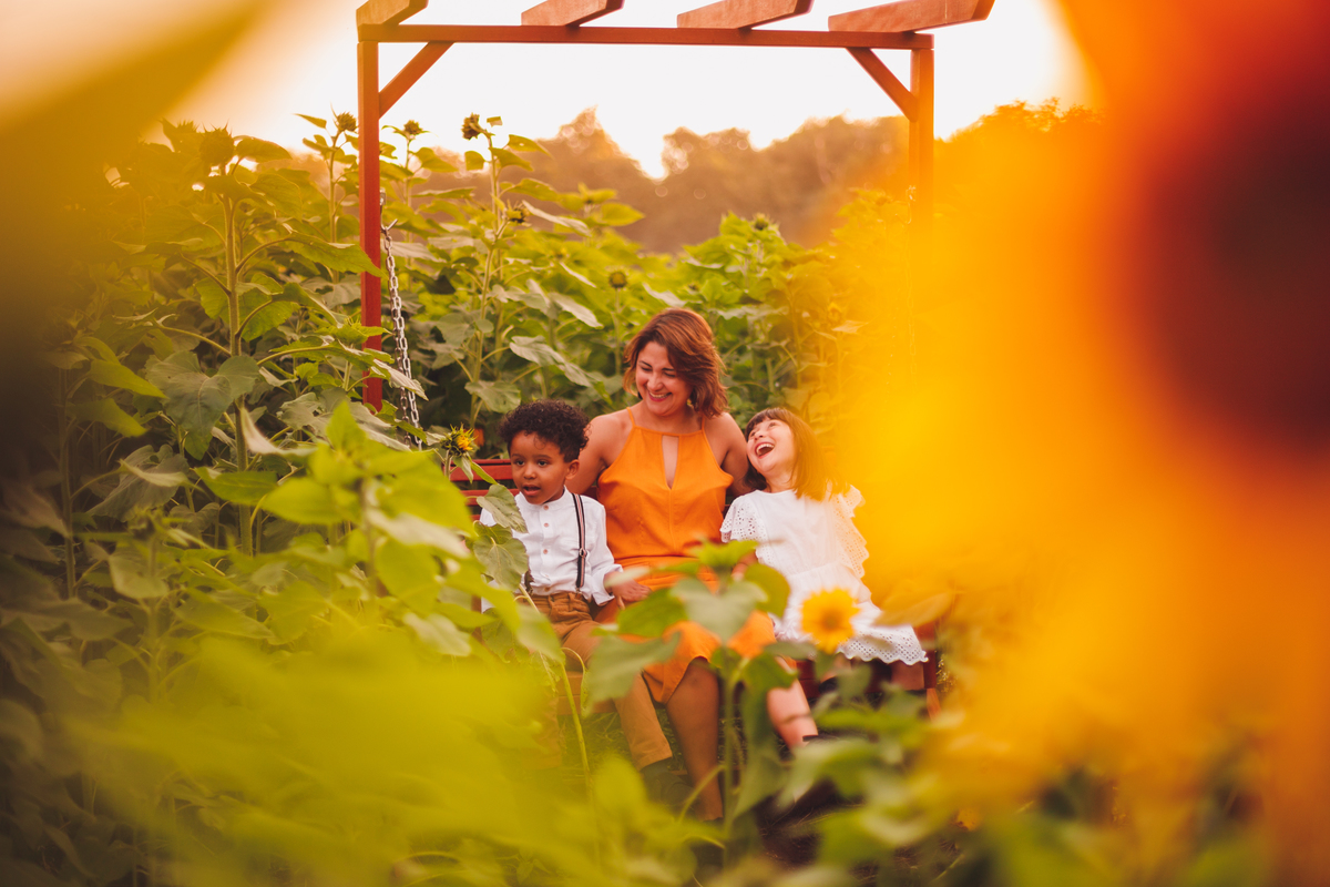 fotografa familia curitiba - ensaio campo de girassol