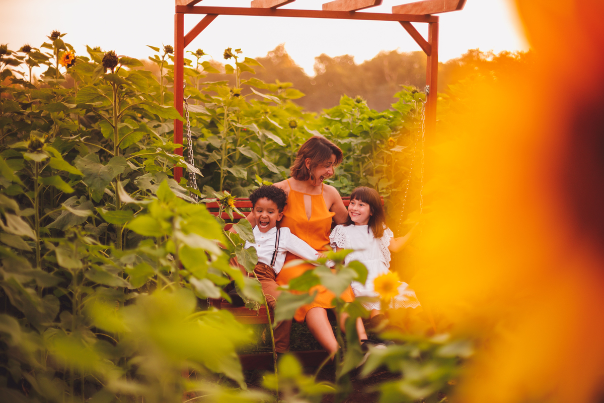 fotografa familia curitiba - ensaio campo de girassol