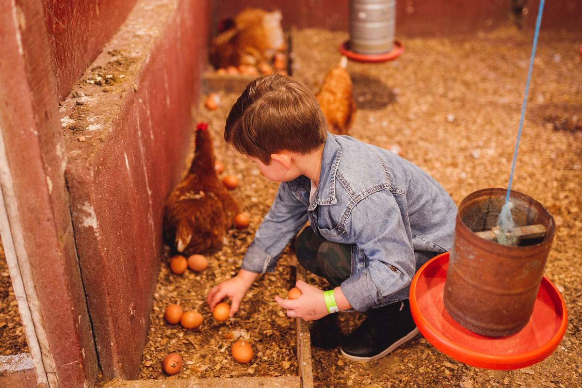 fotografa curitiba ensaio fazendinha
